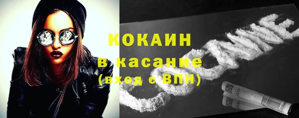 стаф Богородицк