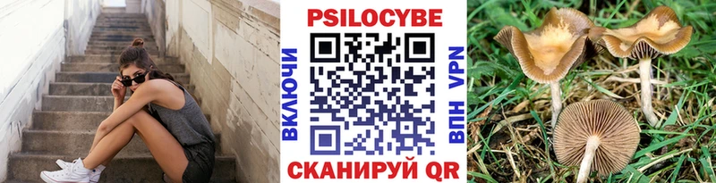 Псилоцибиновые грибы Cubensis  MEGA ТОР  Белозерск 